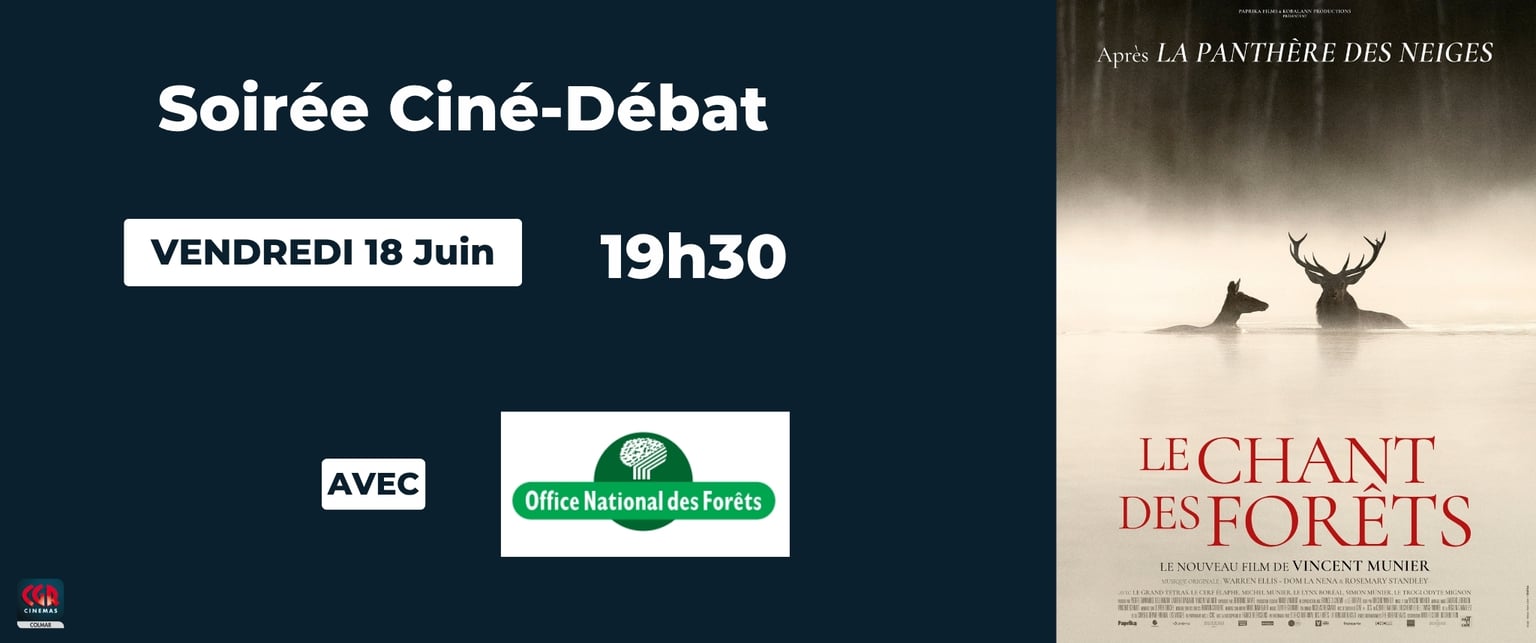 Ciné-débat : Écouter la forêt