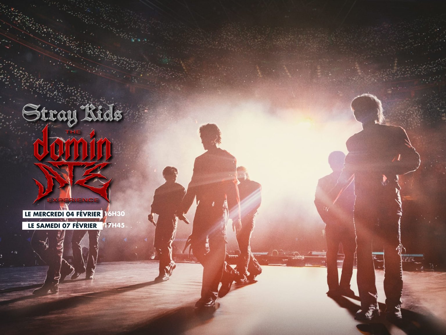 Stray Kids : The dominate Experience