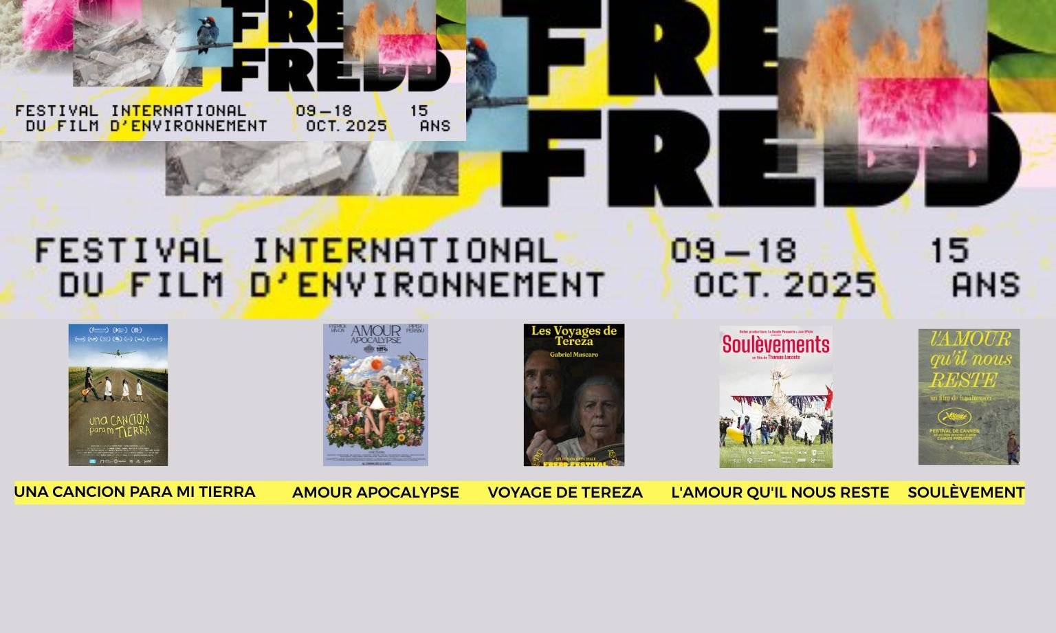 Festival FREDD