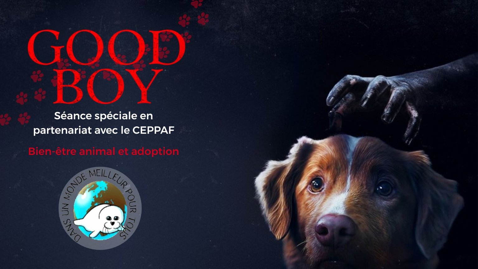 Séance Spéciale - GOOD BOY