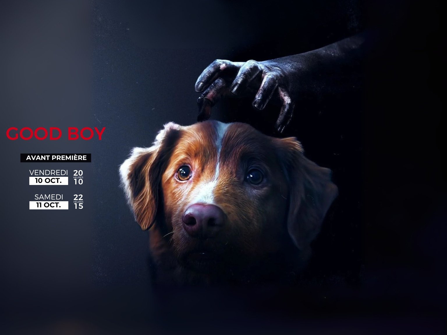 🐶 😱GOOD BOY