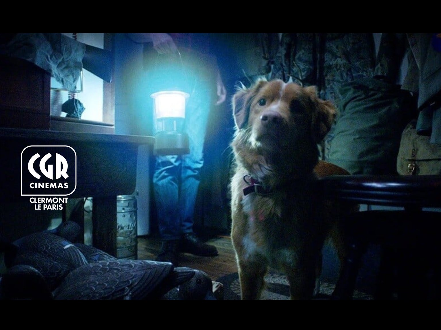 Good Boy l Séance Spéciale