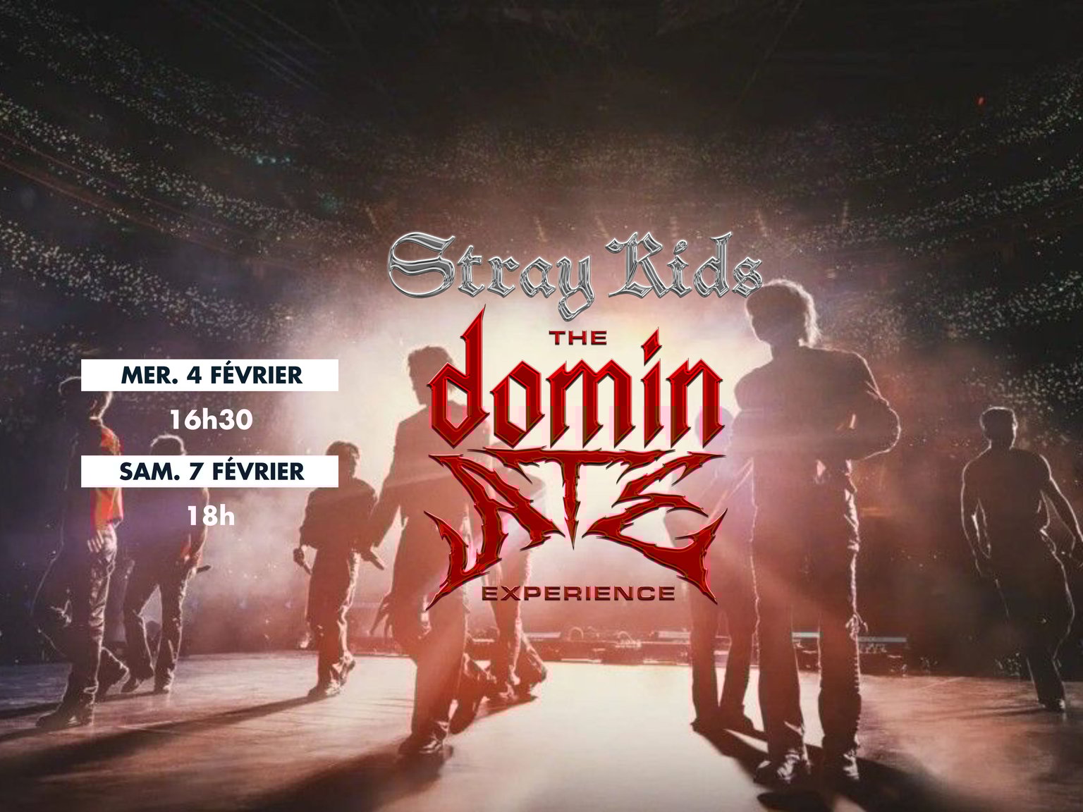 Stray Kids : The dominATE Experience