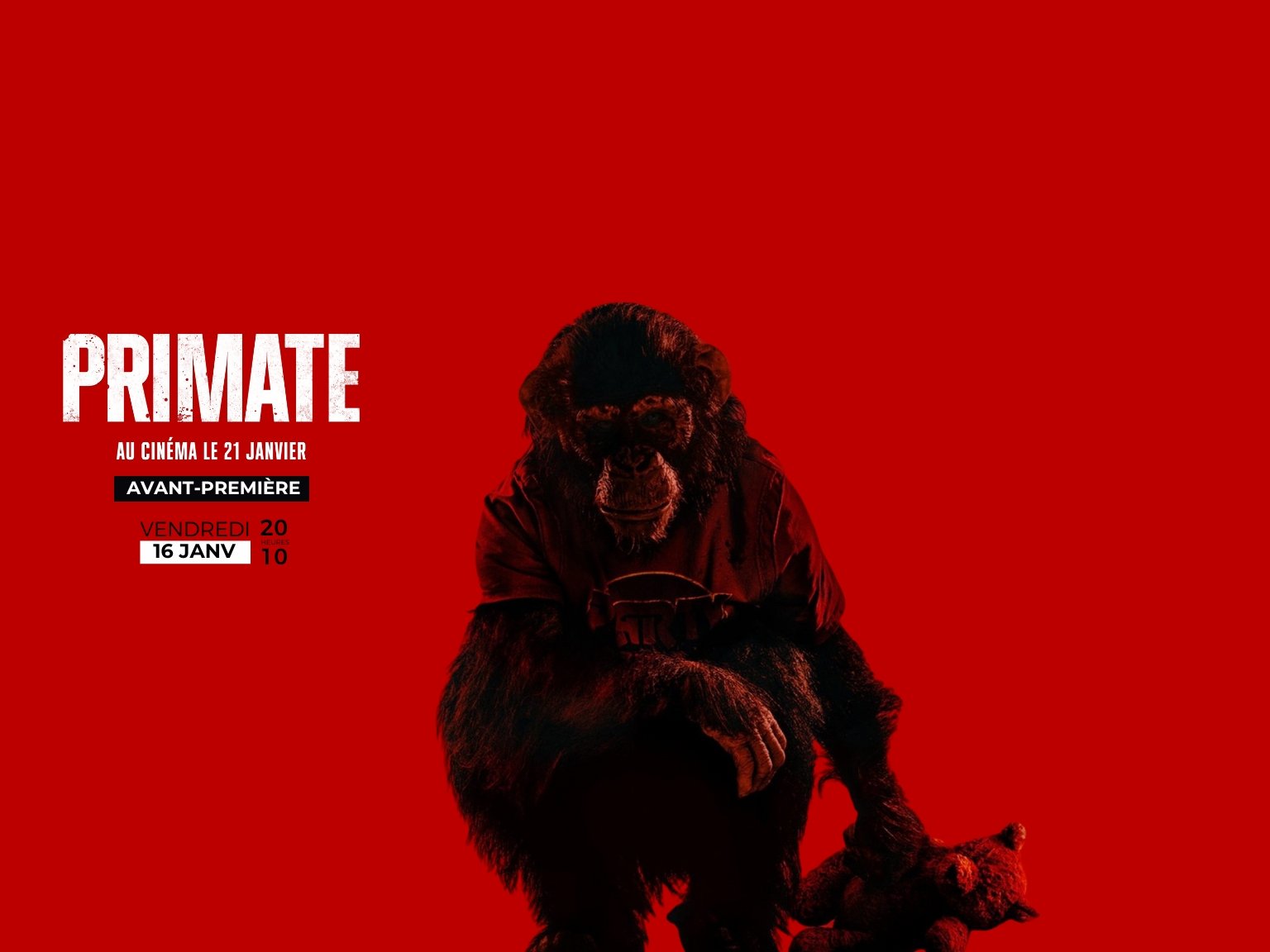 Avant-première : PRIMATE
