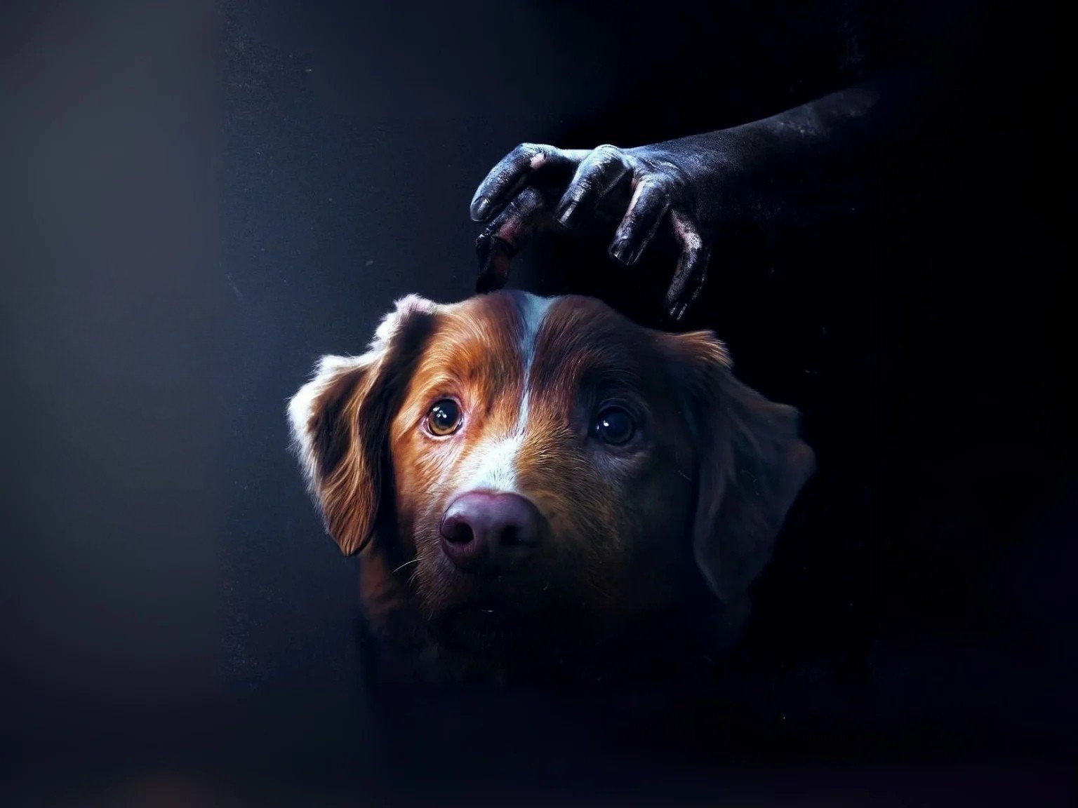 GOOD BOY 🐶😨 (Interdit -12ans)