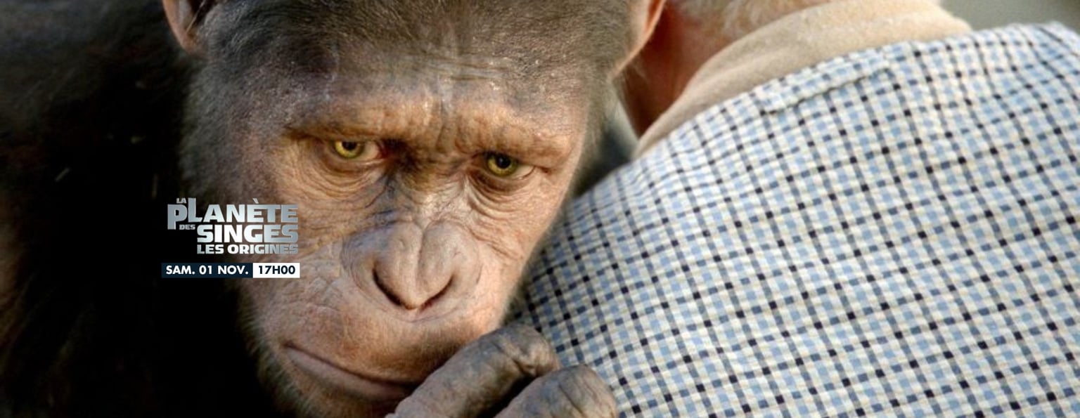 Festival Voyageurs Immobiles : La Planète des singes