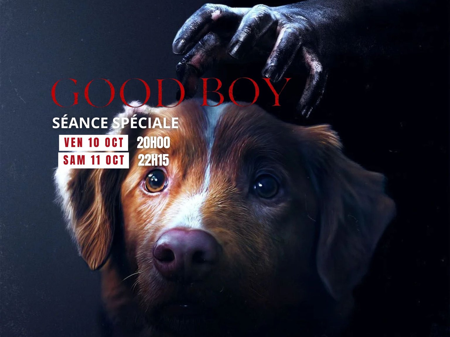 Séances Spéciales - Good Boy