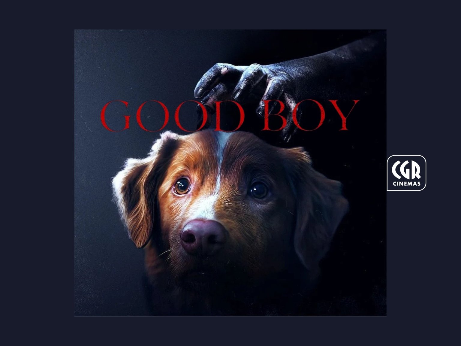 Good Boy