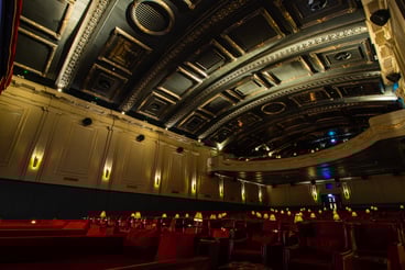 Stella Ceiling