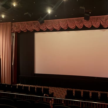 Our newly equipped EPEX auditorium features a stunning screen size and premium seating.