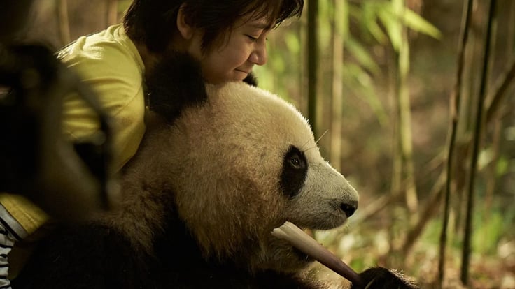 Moon Le Panda