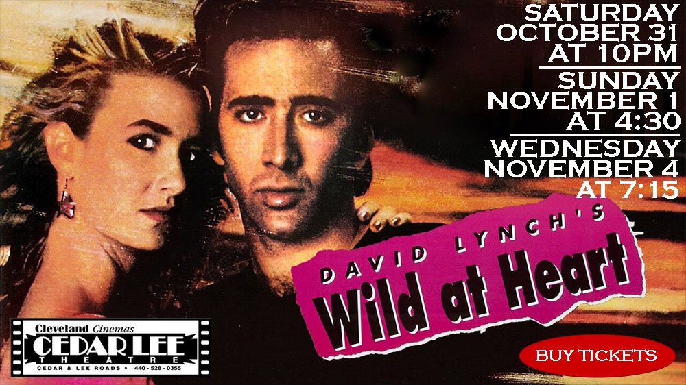 Wild at Heart