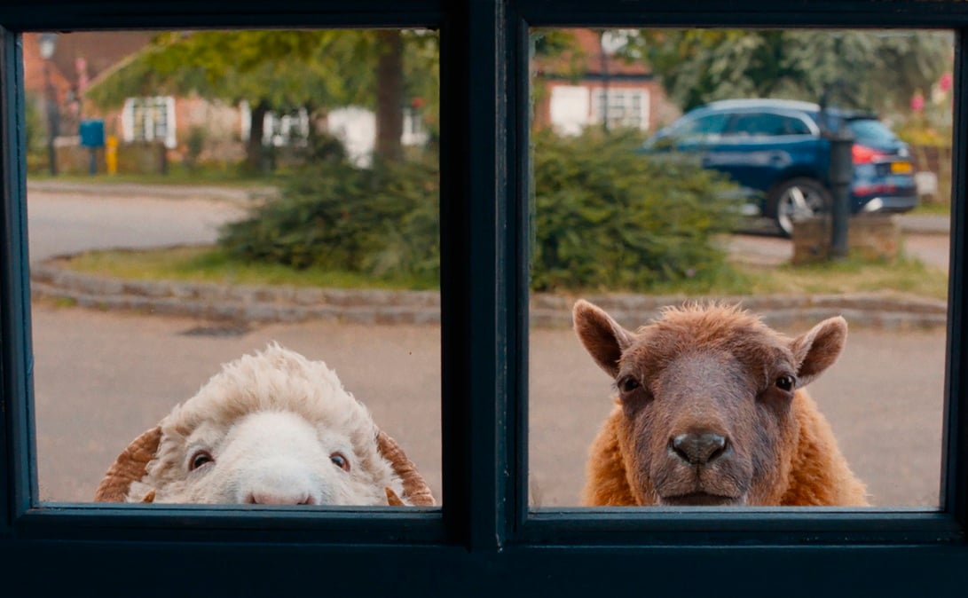 The Sheep Detectives