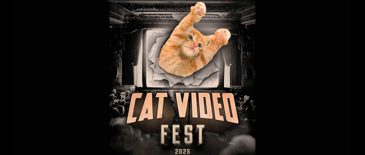 CatVideoFest 2025