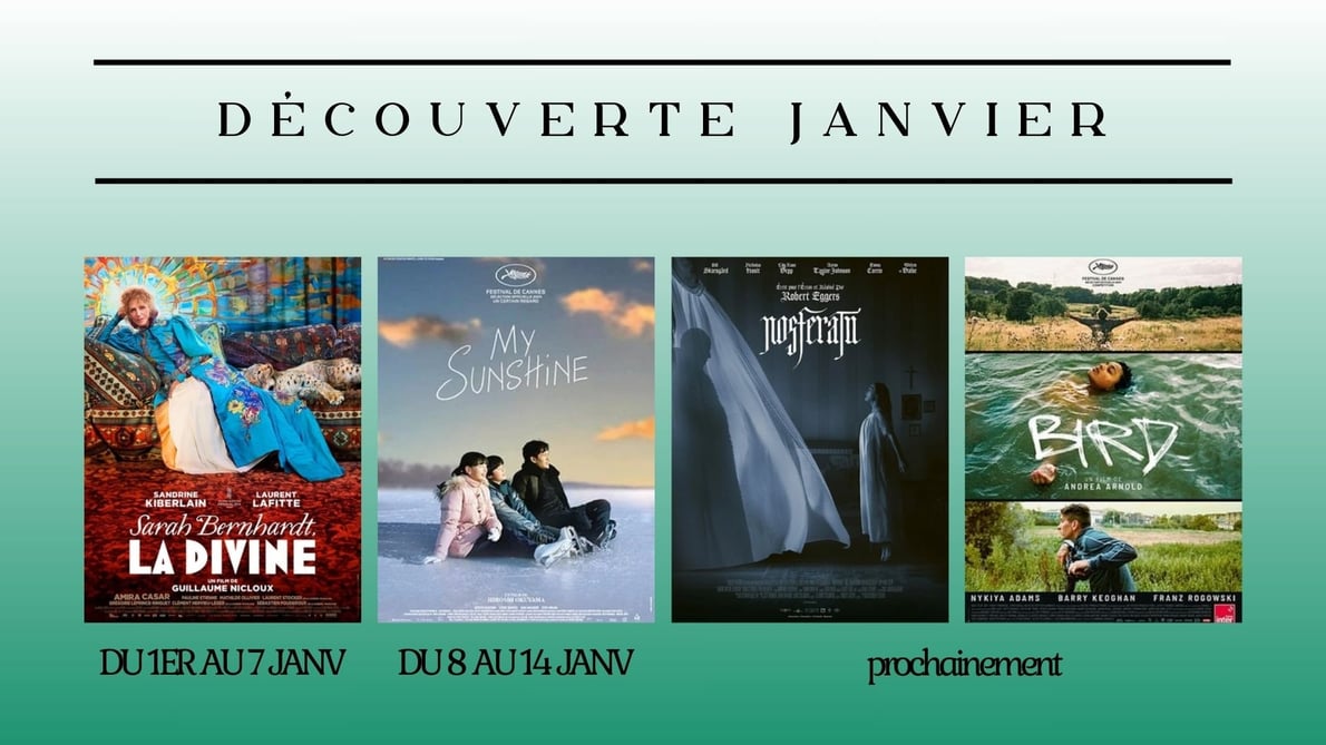 Les films "découverte" de janvier