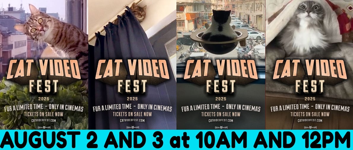 CatVideoFest 2025