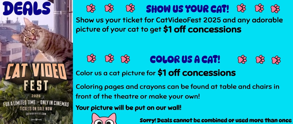 CatVideoFest 2025