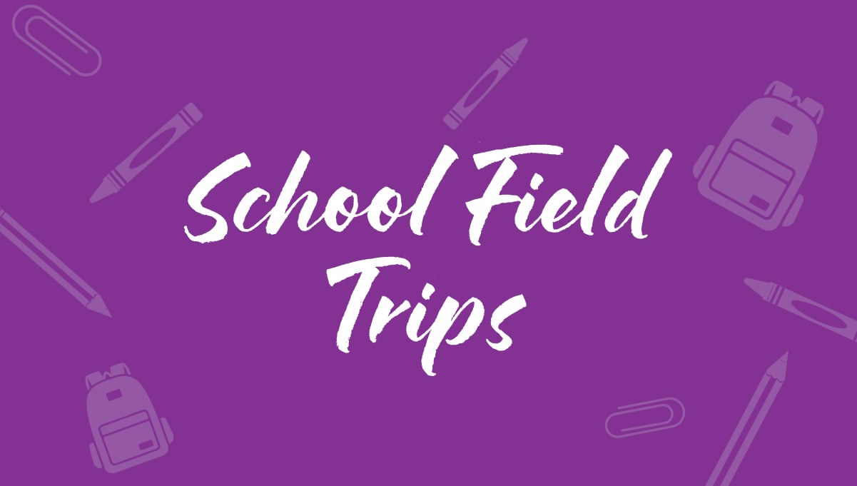 School Field Trips