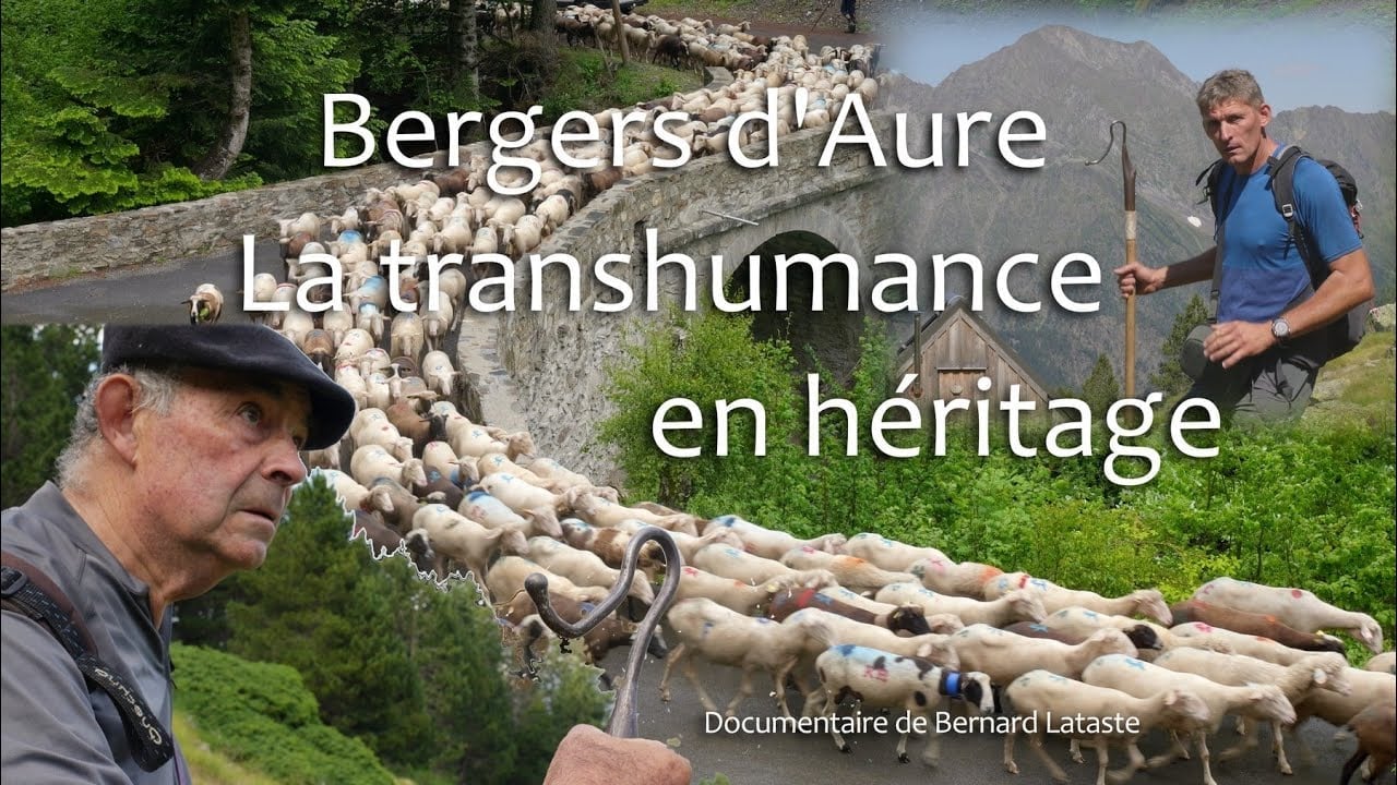 BERGERS D'AURE, la transhumance en héritage
