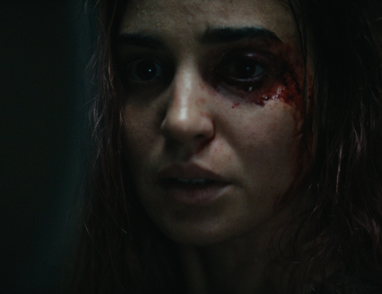 Evil Dead Burn