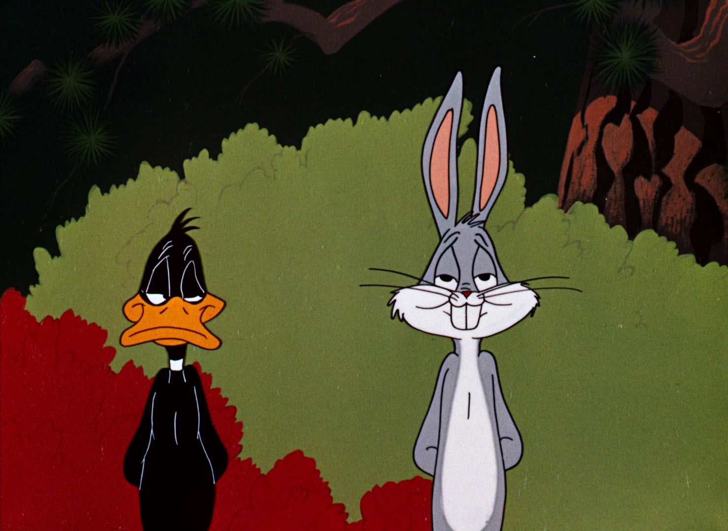 Bugs and Daffy