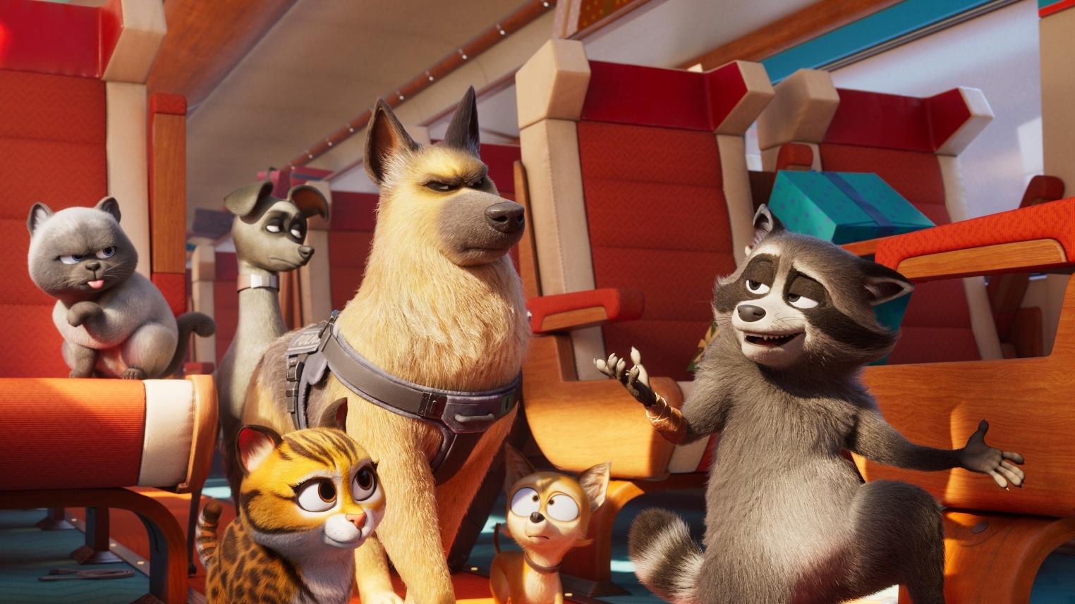 Avant-première - FALCON EXPRESS | Dimanche 29 Juin à 13h30