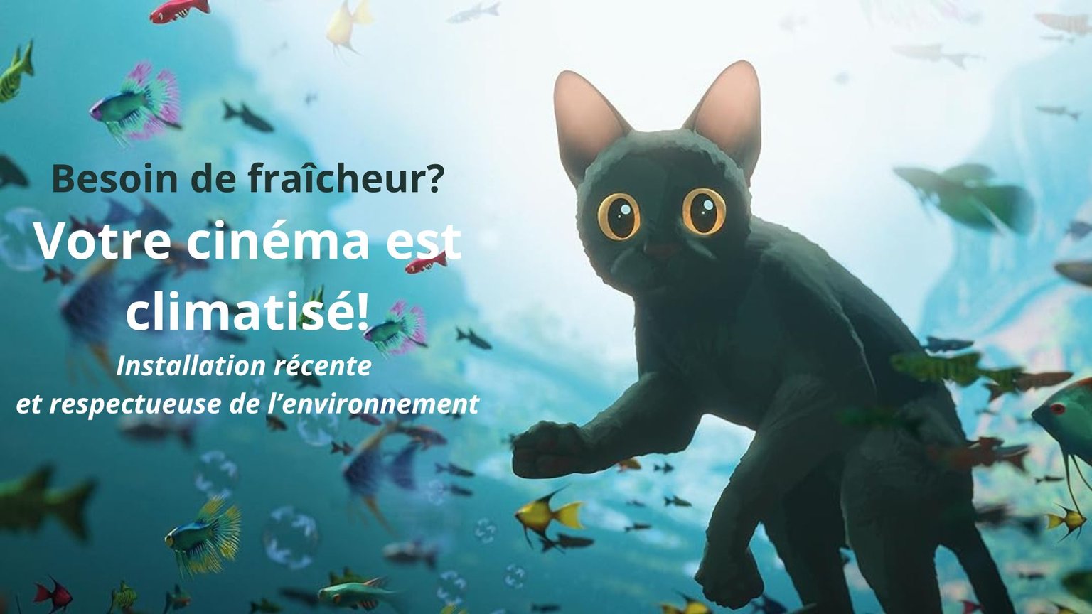 Un chat dans l'eau