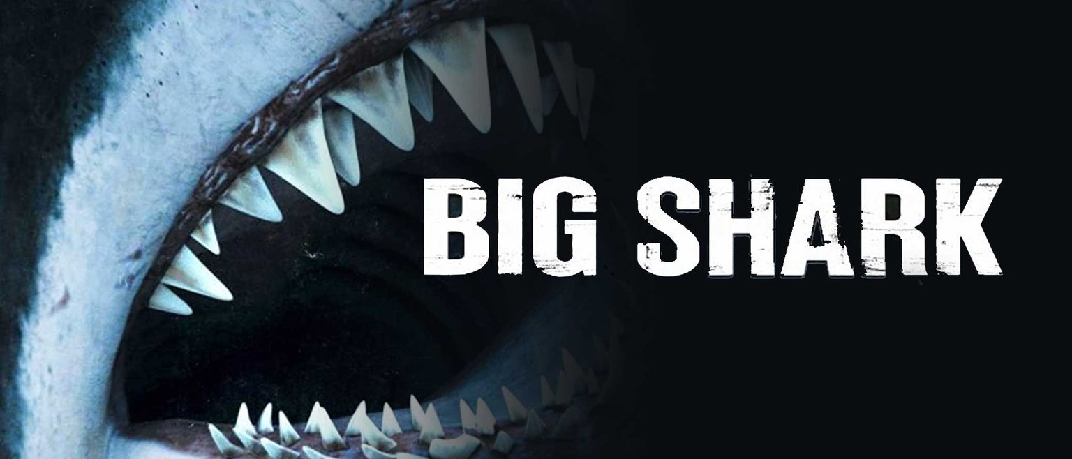 Big Shark with Greg Sestero Live