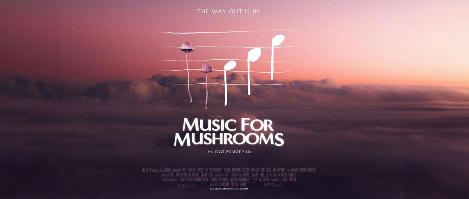 Music for Mushrooms (Premium Event)