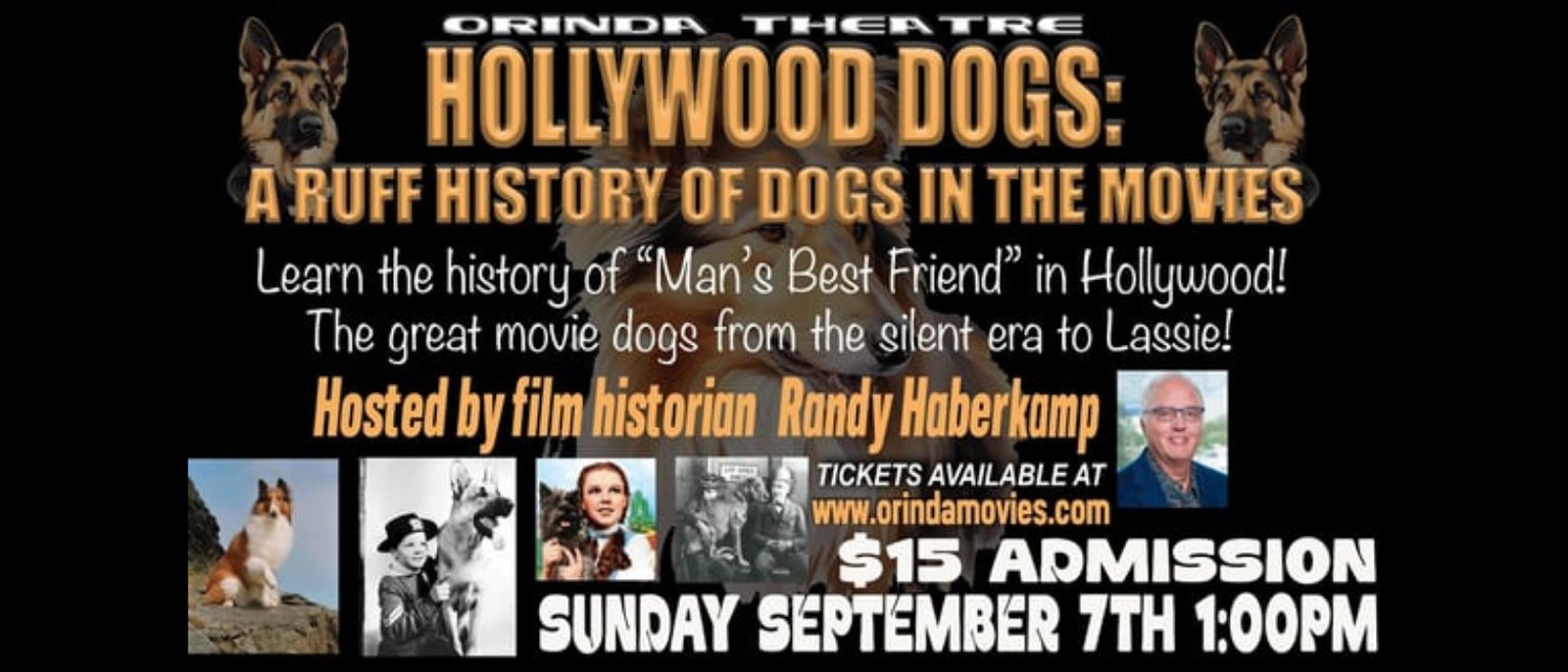 Hollywood Dogs
