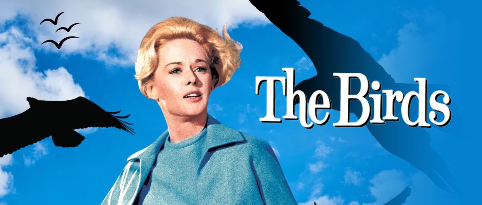 The Birds 60th Anniversary