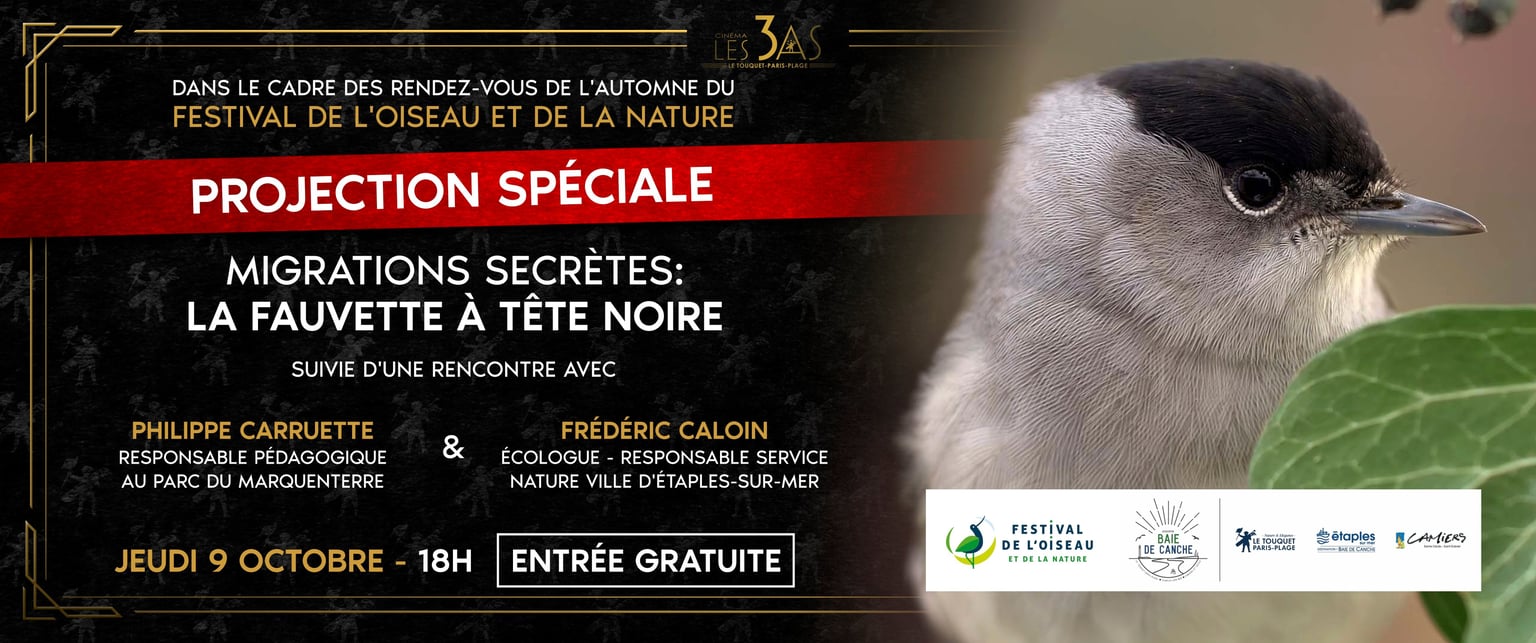 fest oiseau
