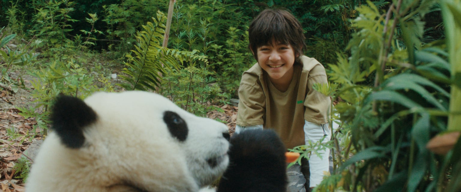 Avant-première | Moon le panda