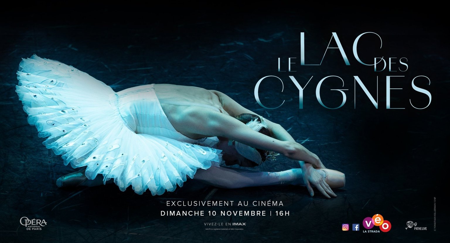 Le Lac des Cygnes