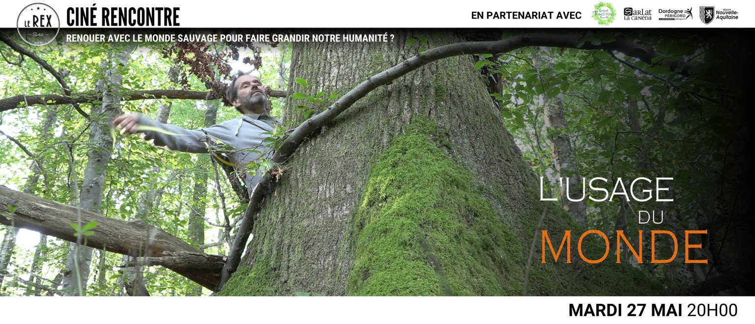 L'Usage du monde