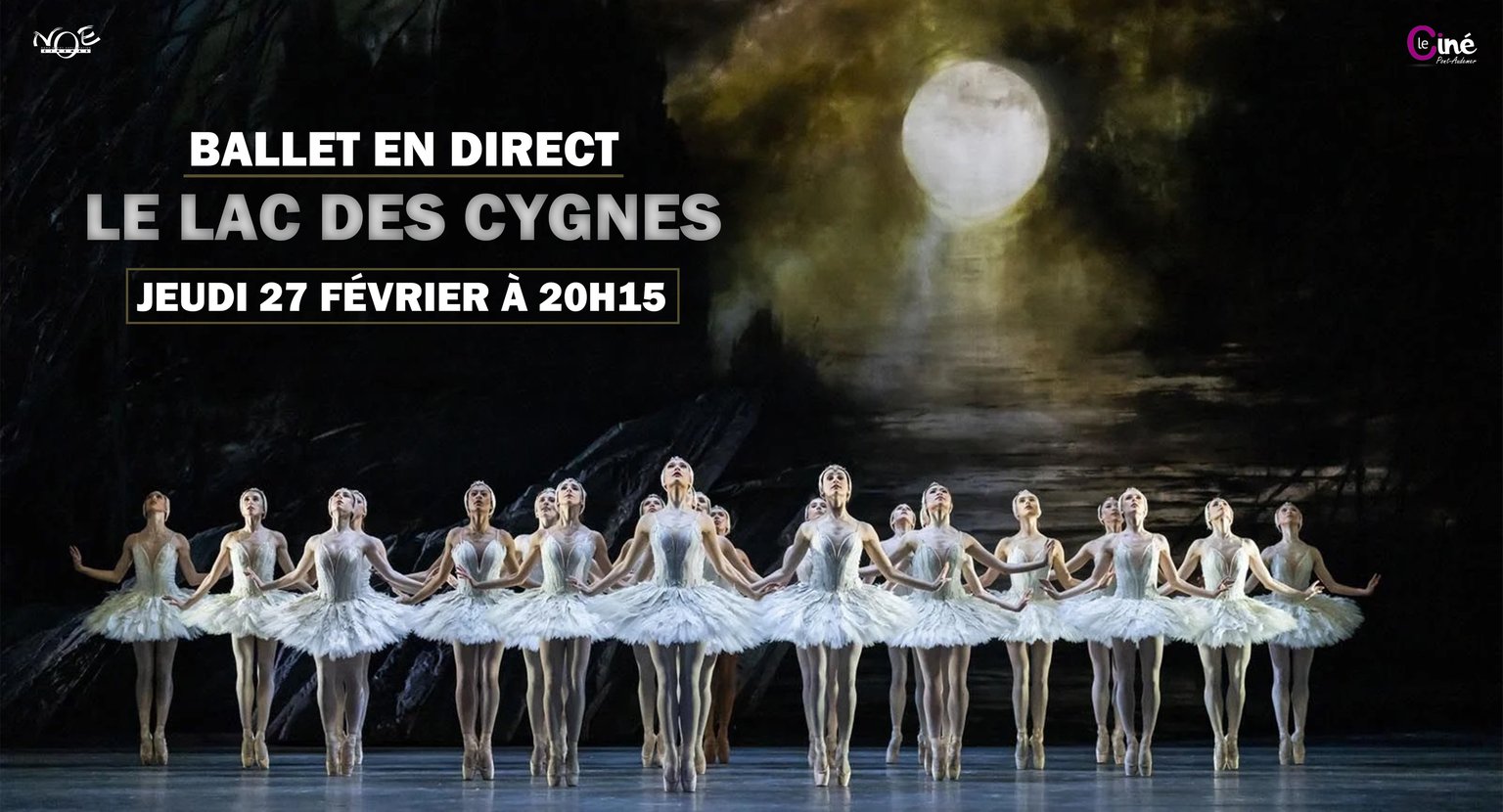 BALLET - LE LAC DES CYGNES