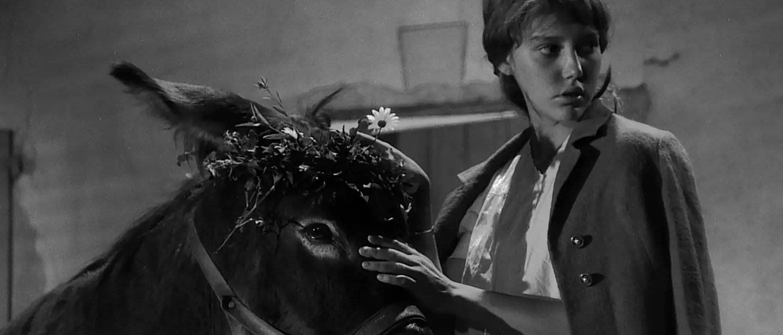 CINÉQUINZE : AU HASARD, BALTHAZAR