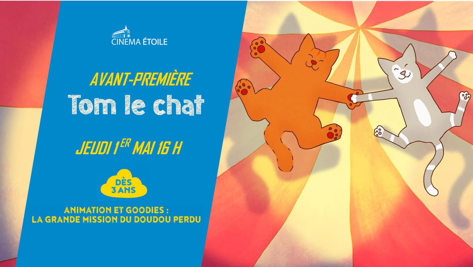 TOM LE CHAT 