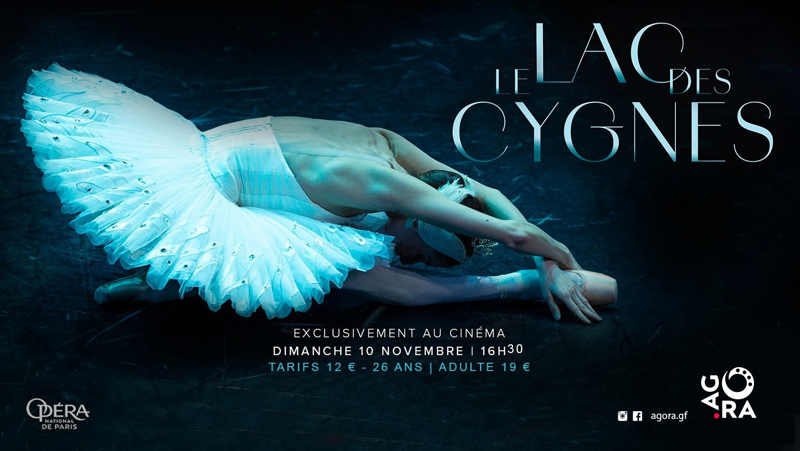 Opéra : Le Lac des Cygnes