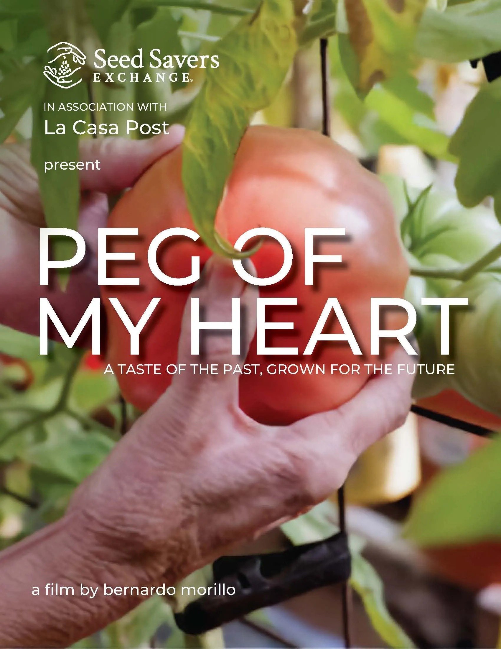 Peg of My Heart