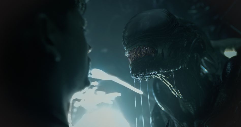 Alien: Romulus opens at Showcase on 16 August