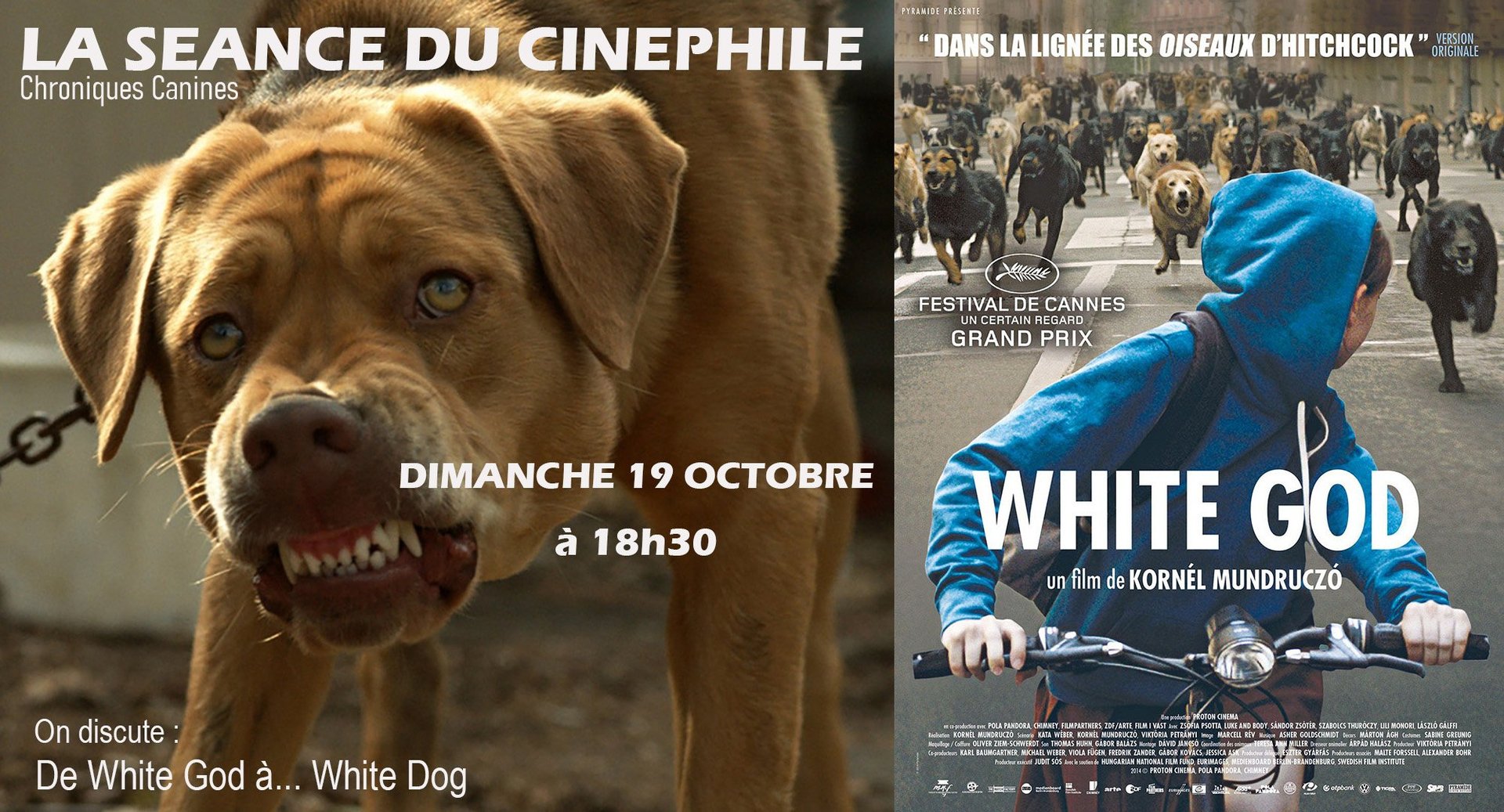 CINEPHILE