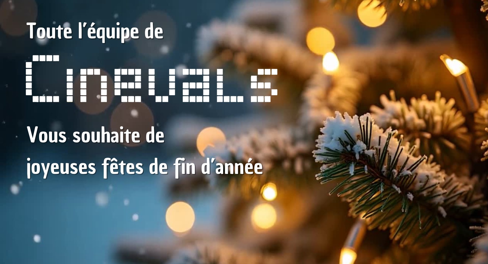 Toute l'équipe de CINEVALS vous souhaite de joyeuses fêtes de fin d'année