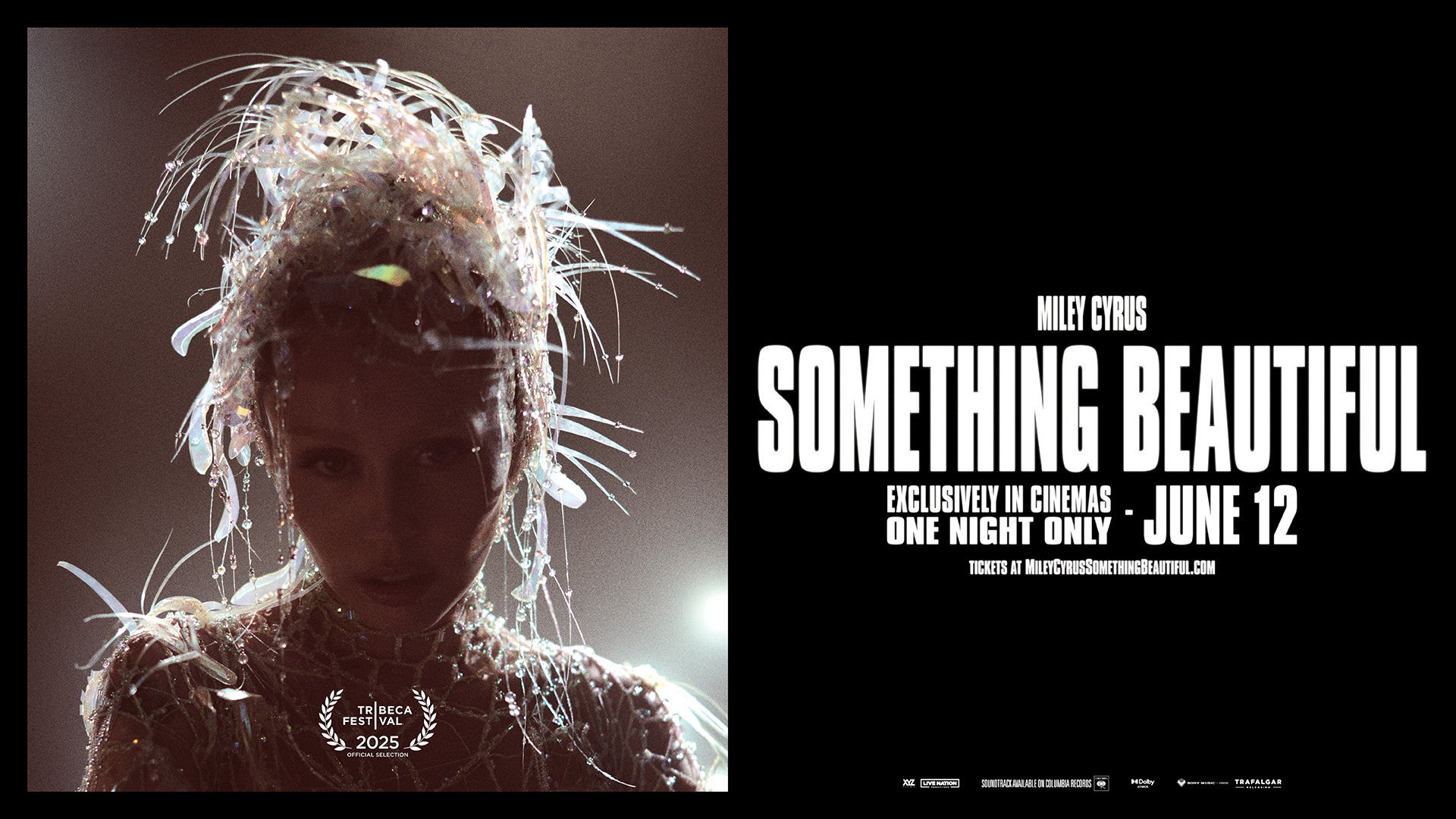 Miley Cyrus: Something Beautiful