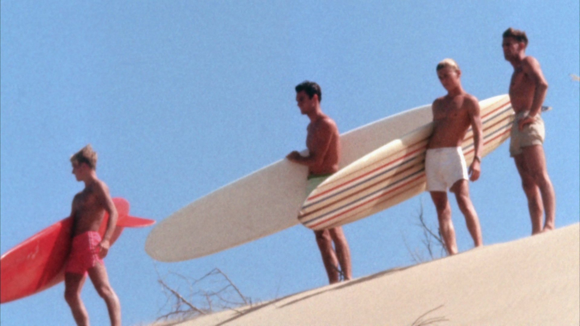 THE ENDLESS SUMMER