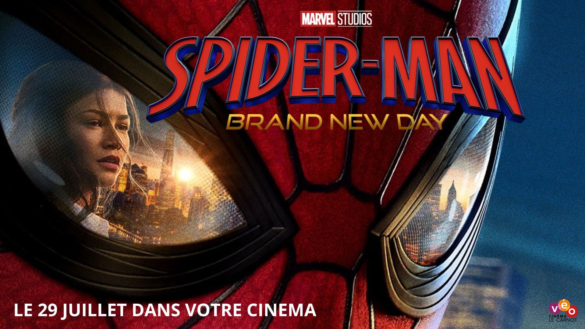 CARTON SN SPIDER-MAN