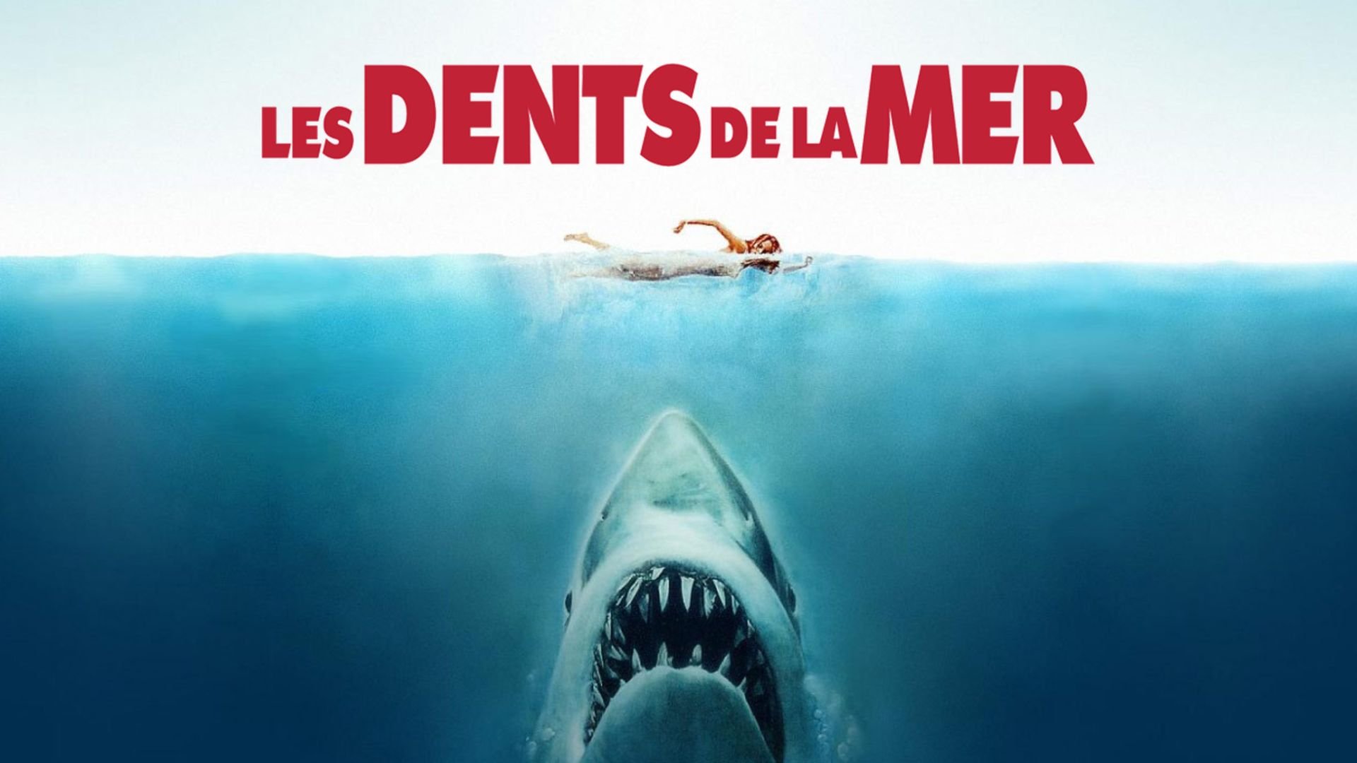 Visuel du film Les dents de la mer