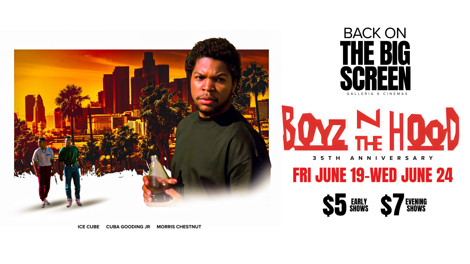 Boyz N the Hood