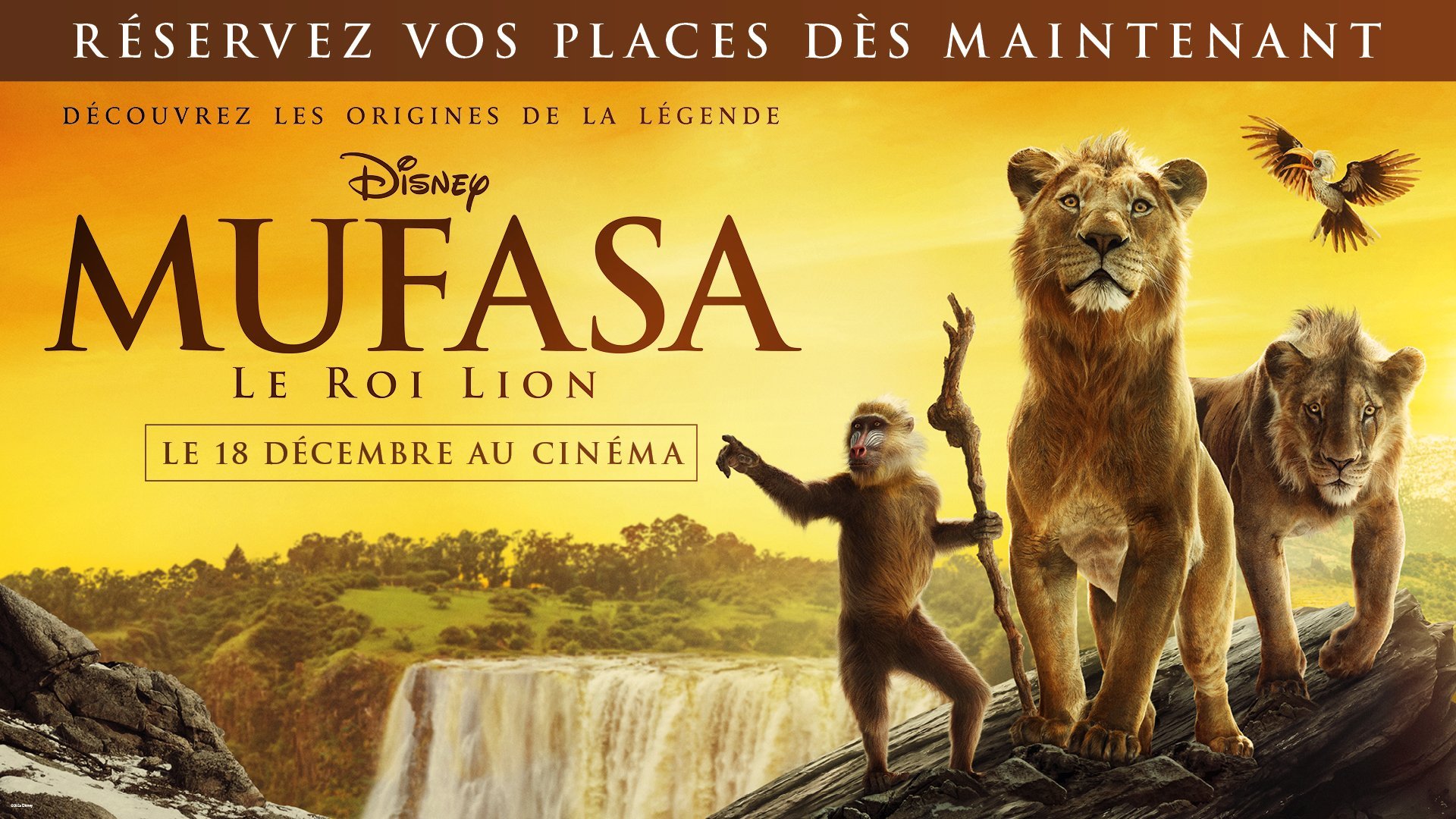 Ciné-spectacle Mufasa: le roi lion