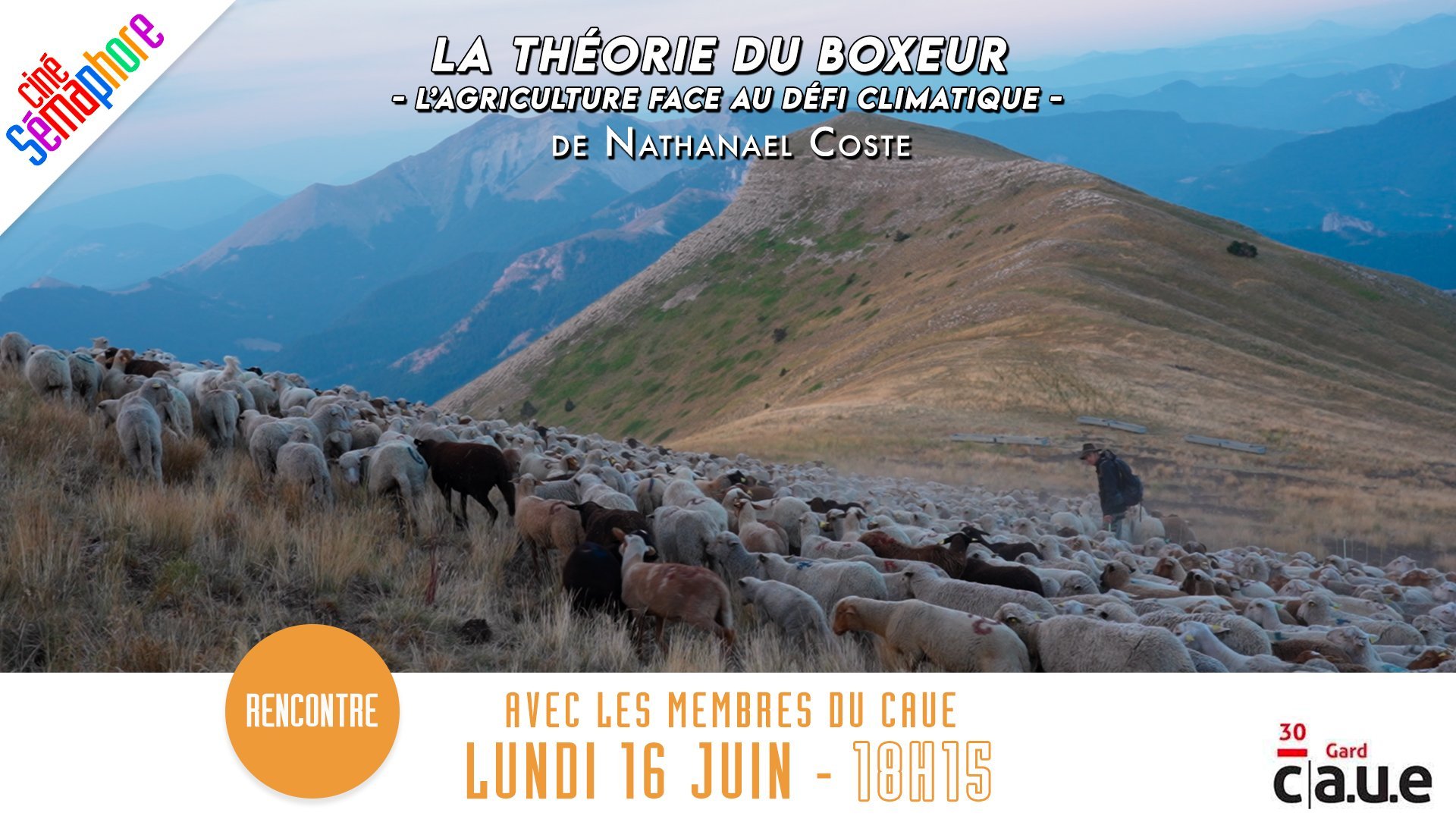 La Théorie du boxeur